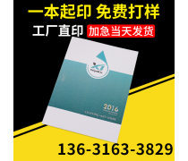 動(dòng)漫設(shè)計(jì)宣傳畫冊(cè) 創(chuàng)意與視覺的完美融合