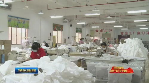 肇慶加快推進‘五位一體’總體布局，助力企業(yè)有效復工復產(chǎn)