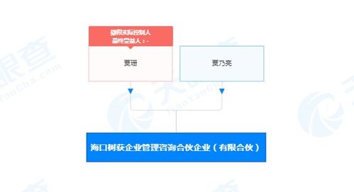 解碼社會經(jīng)濟(jì)咨詢服務(wù)的價值與挑戰(zhàn)